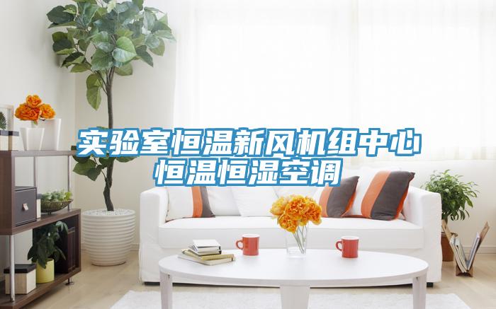 實驗室恒溫新風(fēng)機(jī)組中心恒溫恒濕空調(diào)