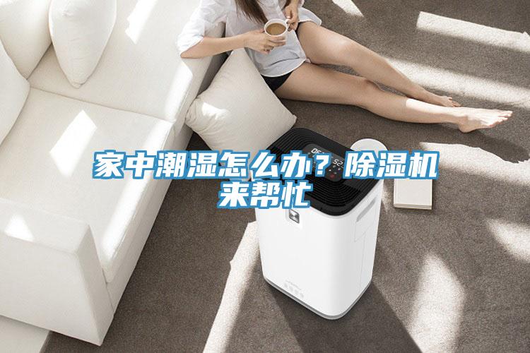 家中潮濕怎么辦？除濕機(jī)來(lái)幫忙