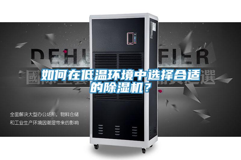 如何在低溫環境中選擇合適的除濕機？