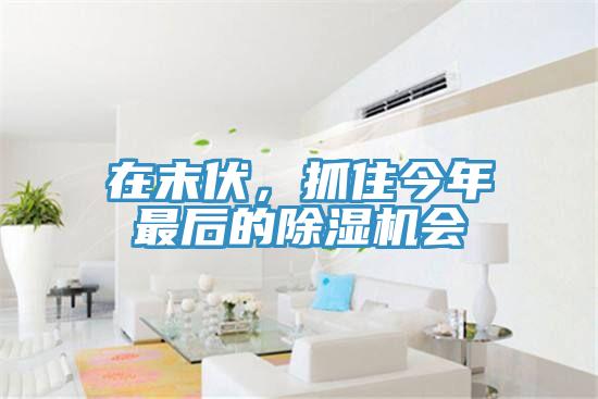 在末伏，抓住今年最后的除濕機會
