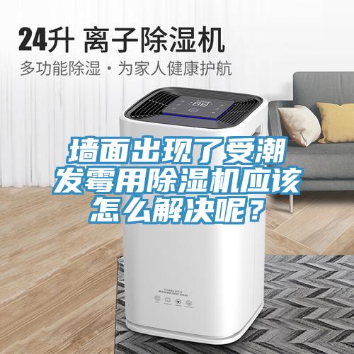 墻面出現了受潮發霉用除濕機應該怎么解決呢?