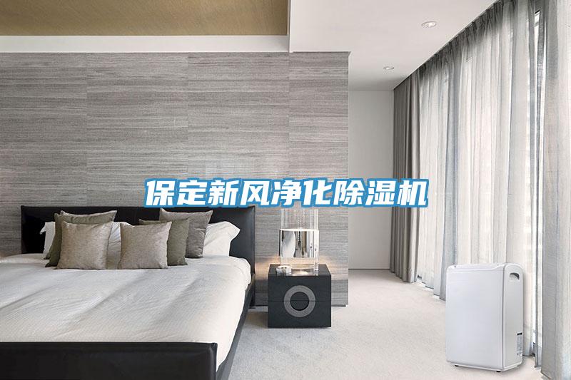 保定新風凈化除濕機