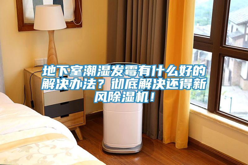 地下室潮濕發霉有什么好的解決辦法？徹底解決還得新風除濕機！