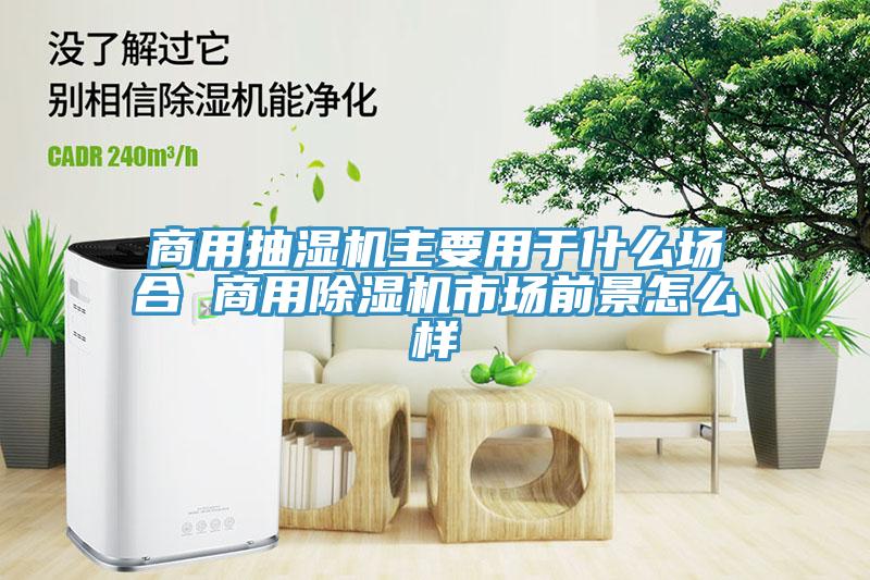 商用抽濕機主要用于什么場合 商用除濕機市場前景怎么樣