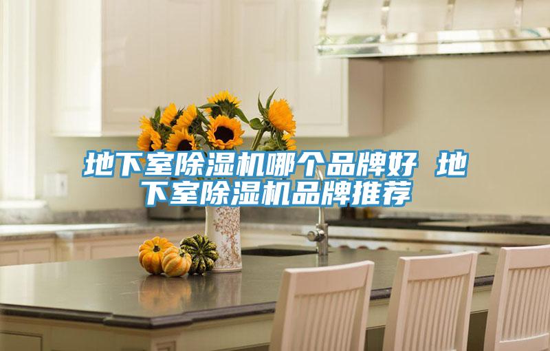 地下室除濕機(jī)哪個(gè)品牌好 地下室除濕機(jī)品牌推薦