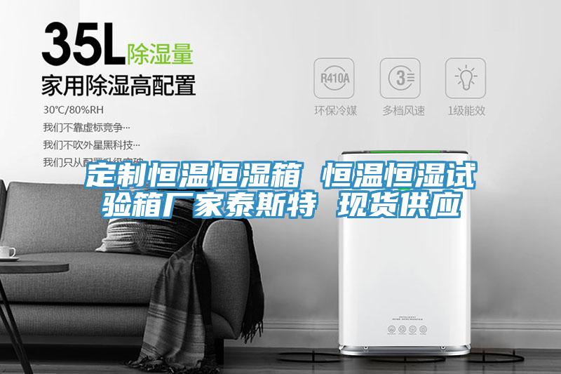 定制恒溫恒濕箱 恒溫恒濕試驗箱廠家泰斯特 現貨供應