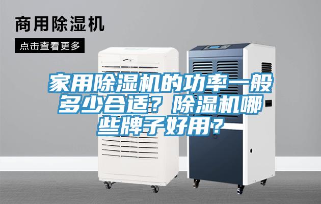 家用除濕機(jī)的功率一般多少合適？除濕機(jī)哪些牌子好用？