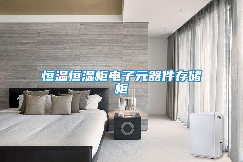 恒溫恒濕柜電子元器件存儲(chǔ)柜
