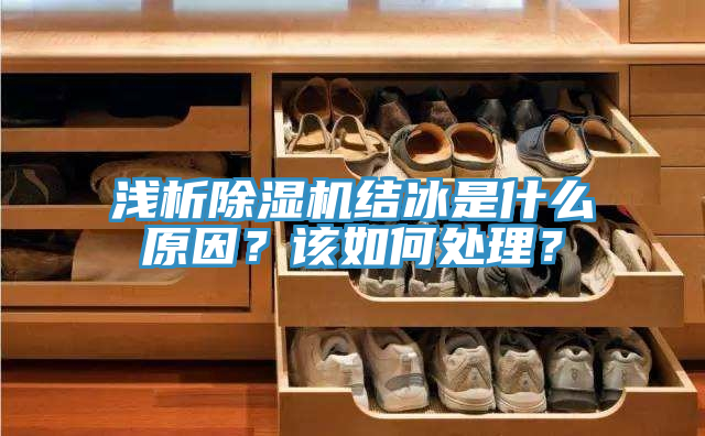 淺析除濕機結冰是什么原因？該如何處理？