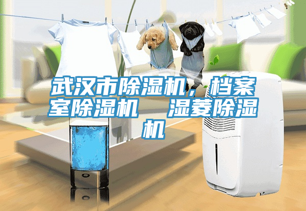 武漢市除濕機，檔案室除濕機  濕菱除濕機