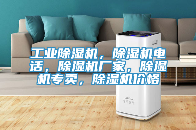 工業(yè)除濕機(jī)，除濕機(jī)電話，除濕機(jī)廠家，除濕機(jī)專賣，除濕機(jī)價(jià)格