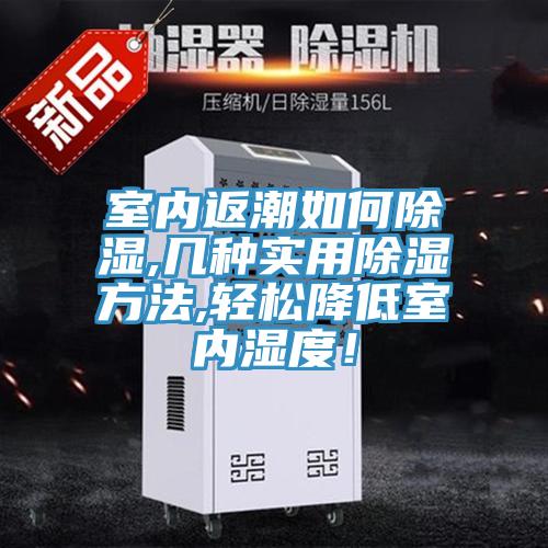 室內返潮如何除濕,幾種實用除濕方法,輕松降低室內濕度！