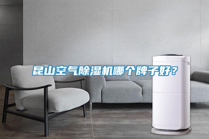 昆山空氣除濕機哪個牌子好？