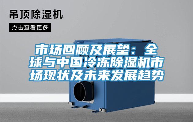 市場回顧及展望：全球與中國冷凍除濕機市場現狀及未來發展趨勢