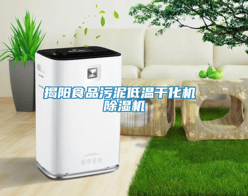 揭陽食品污泥低溫干化機 除濕機