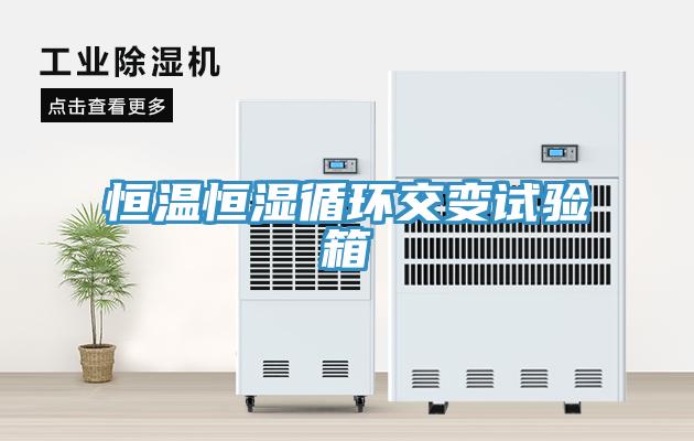 恒溫恒濕循環(huán)交變試驗箱
