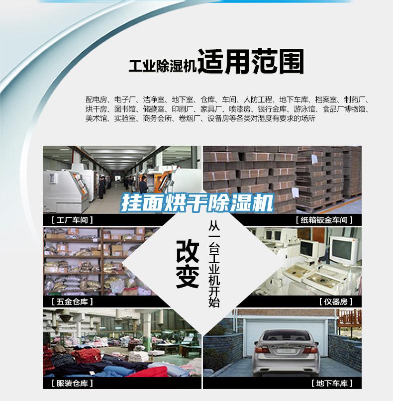 掛面烘干除濕機
