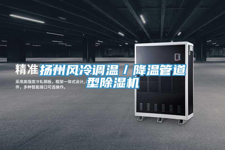 揚州風冷調溫／降溫管道型除濕機