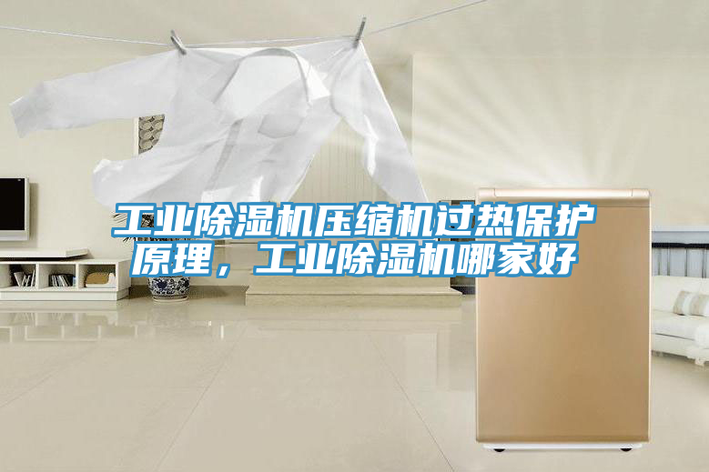 工業(yè)除濕機(jī)壓縮機(jī)過熱保護(hù)原理，工業(yè)除濕機(jī)哪家好