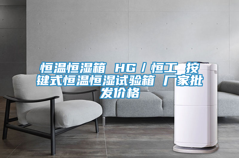 恒溫恒濕箱 HG／恒工 按鍵式恒溫恒濕試驗箱 廠家批發(fā)價格