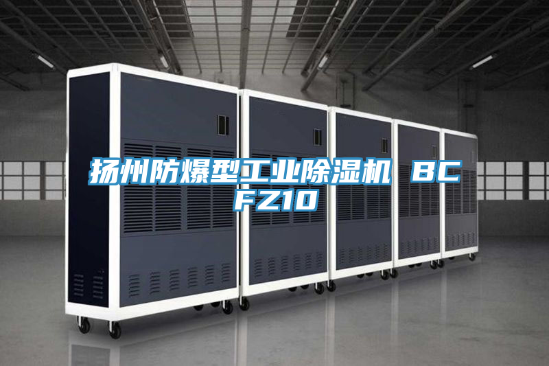 揚州防爆型工業除濕機 BCFZ10
