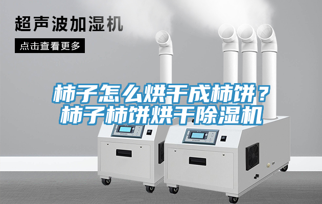 柿子怎么烘干成柿餅？柿子柿餅烘干除濕機