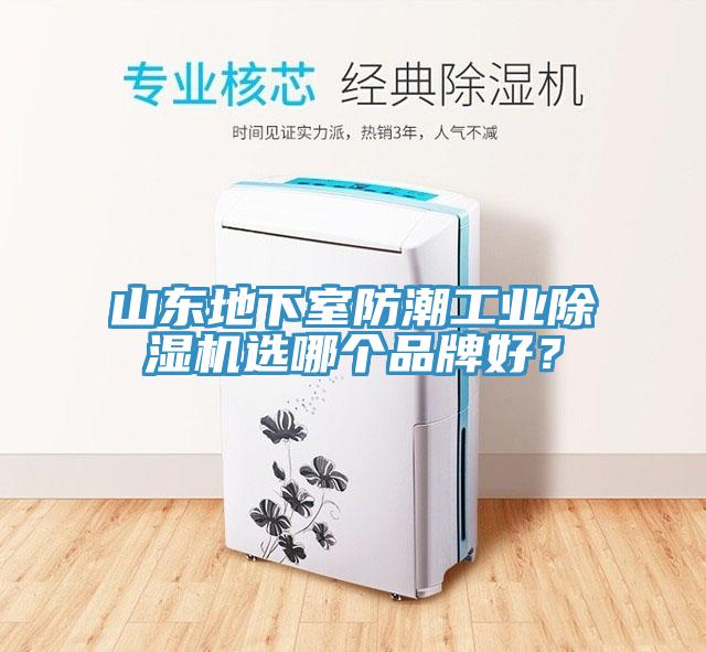 山東地下室防潮工業除濕機選哪個品牌好？