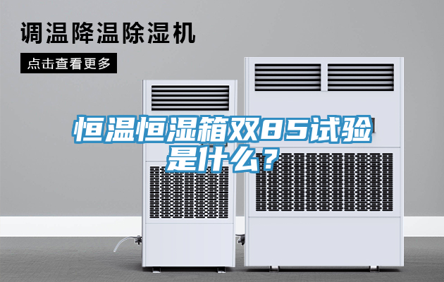 恒溫恒濕箱雙85試驗(yàn)是什么？