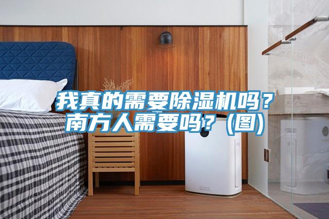 我真的需要除濕機嗎？南方人需要嗎？(圖)