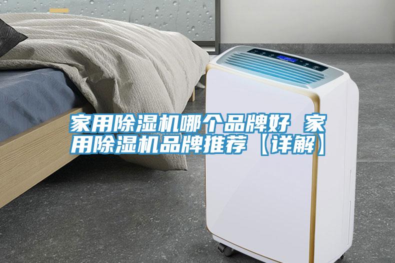 家用除濕機哪個品牌好 家用除濕機品牌推薦【詳解】