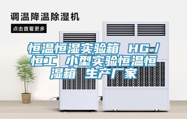 恒溫恒濕實驗箱 HG／恒工 小型實驗恒溫恒濕箱 生產廠家