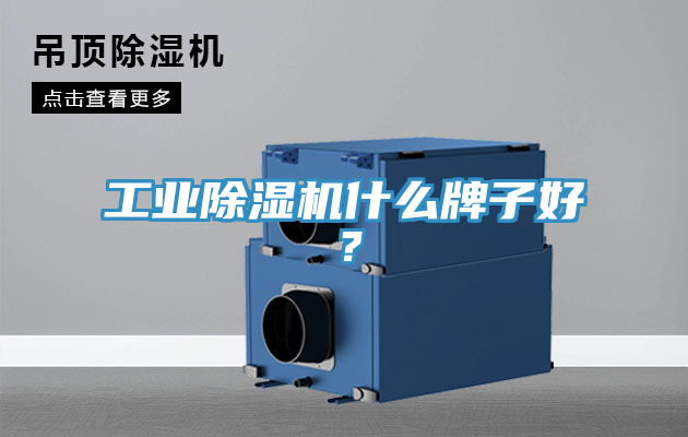 工業除濕機什么牌子好？