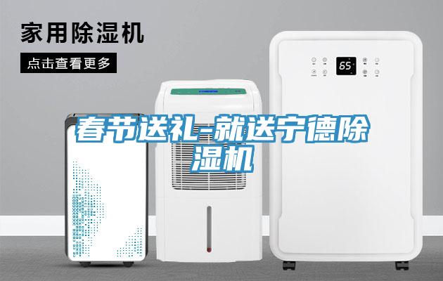 春節送禮-就送寧德除濕機