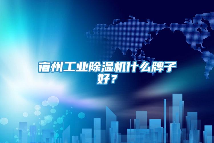 宿州工業(yè)除濕機什么牌子好？