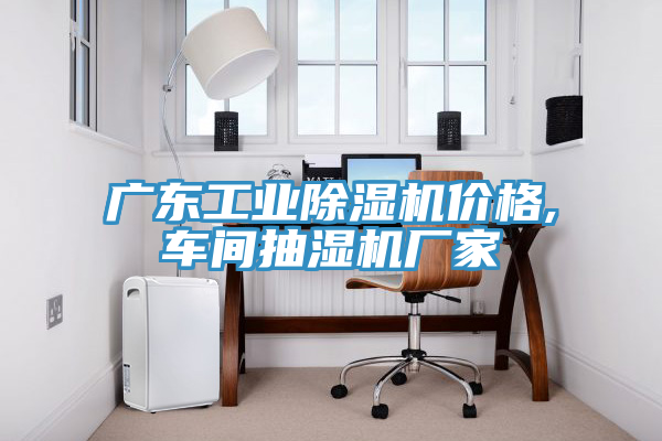 廣東工業除濕機價格,車間抽濕機廠家