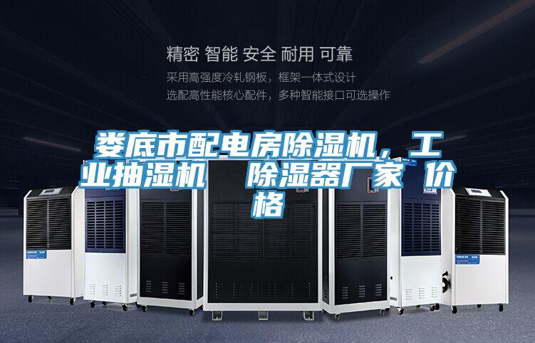 婁底市配電房除濕機(jī)，工業(yè)抽濕機(jī)  除濕器廠家 價(jià)格