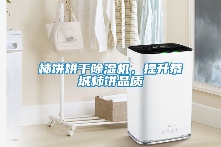 柿餅烘干除濕機，提升恭城柿餅品質