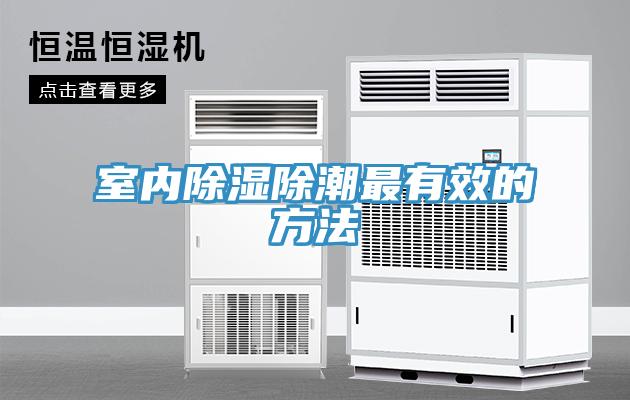室內除濕除潮最有效的方法