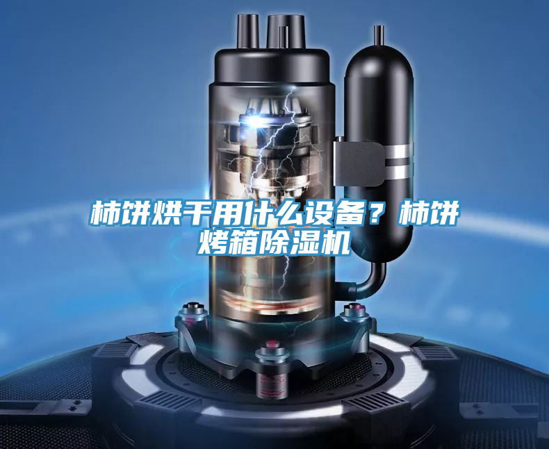 柿餅烘干用什么設備？柿餅烤箱除濕機