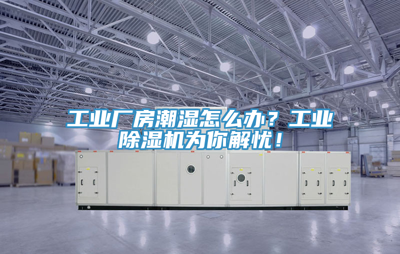 工業(yè)廠房潮濕怎么辦？工業(yè)除濕機為你解憂！