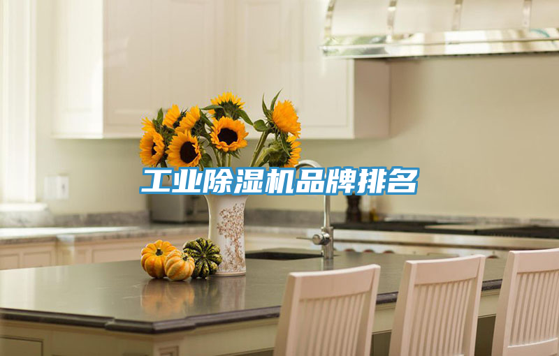 工業除濕機品牌排名