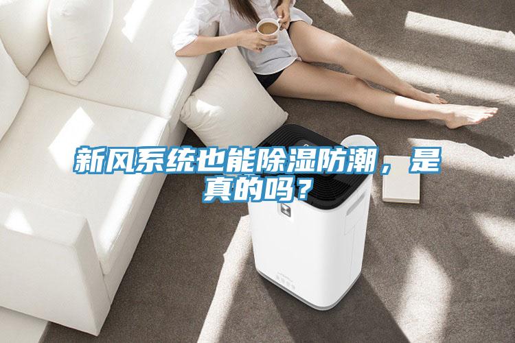 新風系統也能除濕防潮，是真的嗎？
