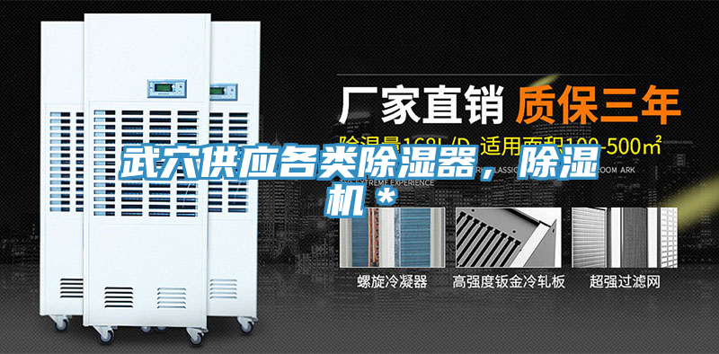 武穴供應各類除濕器，除濕機＊