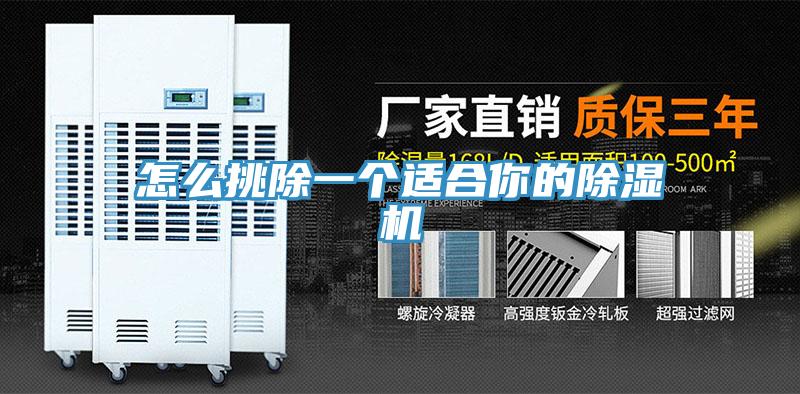 怎么挑除一個適合你的除濕機