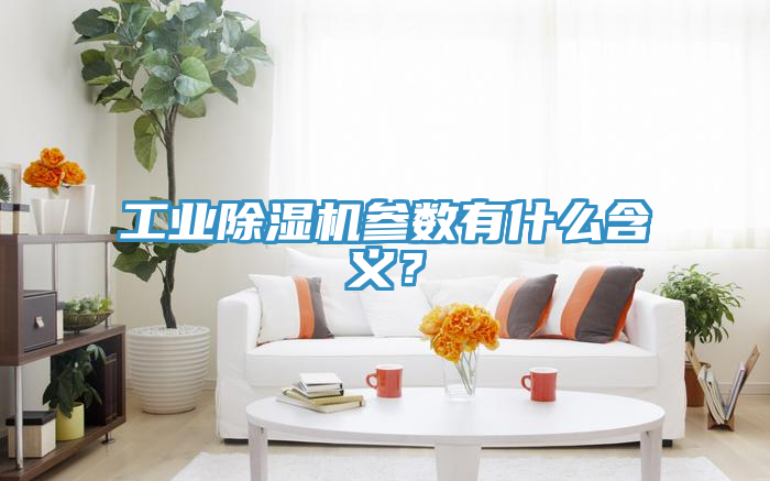 工業(yè)除濕機(jī)參數(shù)有什么含義？