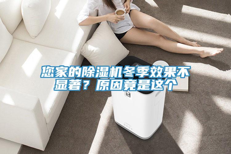 您家的除濕機(jī)冬季效果不顯著？原因竟是這個