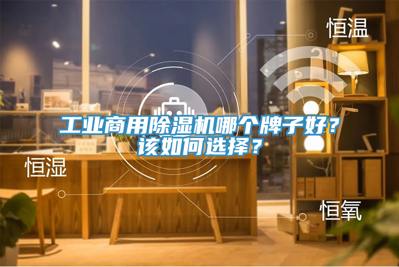 工業商用除濕機哪個牌子好？該如何選擇？