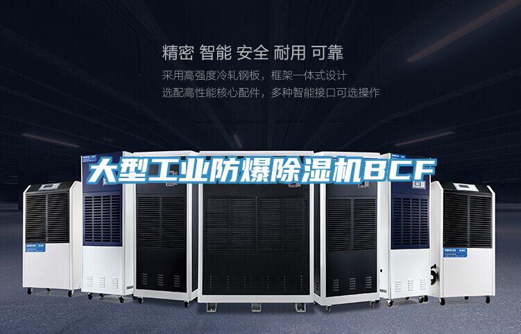 大型工業防爆除濕機BCF