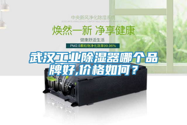 武漢工業除濕器哪個品牌好,價格如何？