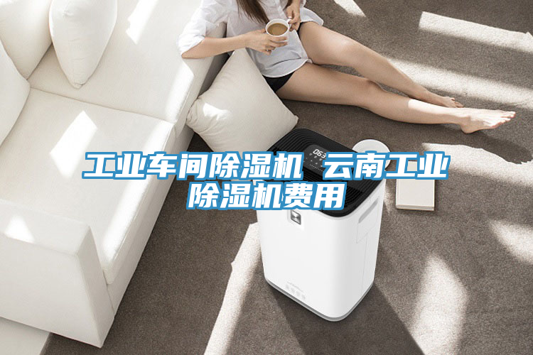 工業車間除濕機 云南工業除濕機費用